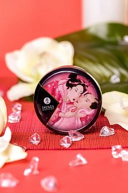 4ce0c9e3-afe5-4077-b23e-ff4afa278a50