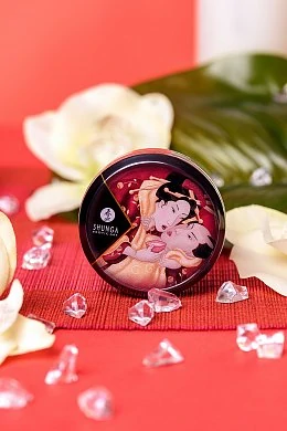 b55d4942-f081-428e-8995-411a6eb971c9