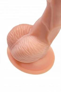 4a7888ea-8338-4dc9-9004-565046b504a8