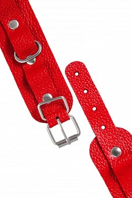 22762092-8d79-4f5c-83bb-9a106028101d