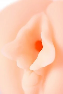 10ae7f53-03c7-42d3-a521-8bd6a77d2d25