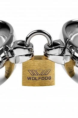 d64fe71c-398c-4e29-bca3-c50fcf702a10