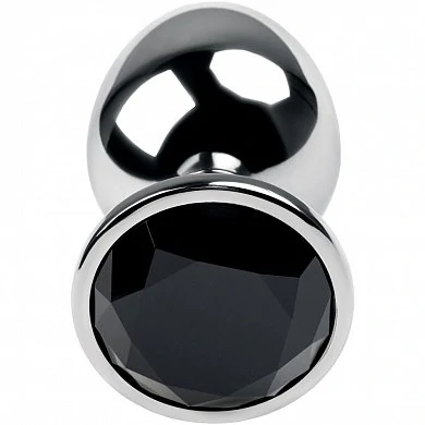 analnaya-vtulka-s-chernym-strazom-iz-kollekcii-toyfa-metal-serebristyy-717095-5-6787