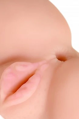 11afd153-969e-4fc9-8702-333d400ef366