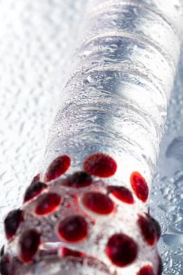 b2a23b5e-9e05-4ff0-a134-1ae21db207dc