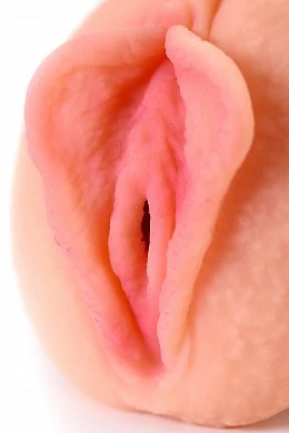 adb31395-dbbc-4bdf-871f-baee0c1344b2