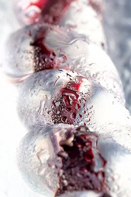 b3fcdbf4-8751-4c73-bcaf-6615dd49bd61