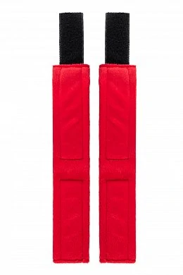 2daf60d6-6b52-4118-b980-741fbc718725