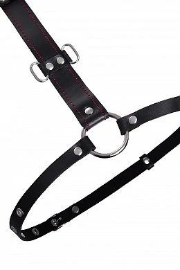 53949bb1-db82-45ac-85ed-90591b3991af