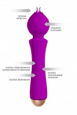 33bfe66a-e3c6-4d78-a57a-64a8b3df8d79