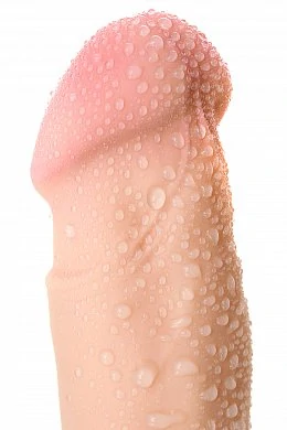 b5a7d73c-ed69-4d85-8b09-b33aa7732d8a