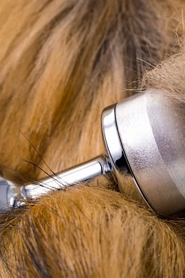 ba017be6-b90c-4576-9088-1ee042a531fb