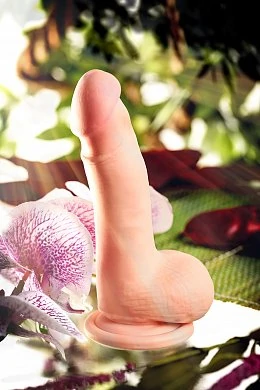 dc565850-fea6-40db-a102-f6464f2a5638