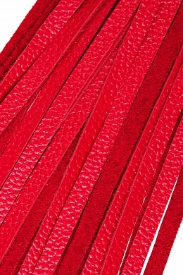 48554808-492c-4503-8b9c-cc7aafeb63ff