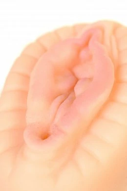 4173242a-abd8-40d0-90a3-e3000d515ed3