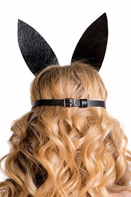 54444687-914f-4323-9911-d22cce6856dc