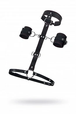 d9c95081-06bf-438b-8095-01d02ef76576