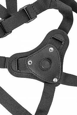 8b56cca0-c782-4c5f-840f-7c13279ebd19