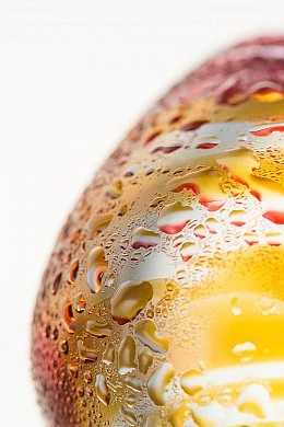 fafb5babaee1f7a6371d20a3bbb854d9