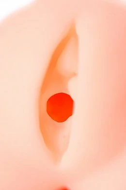 d3c41d11-a4b3-4384-85b2-b7543891a9ae