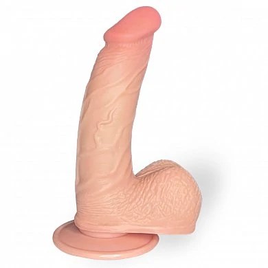 08dc1f0f-3e82-11ef-b203-00155d010a00_9b68ab3f-7586-11ef-b203-00155d010a00