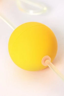 9e95987e-f833-4238-b2d7-ba9c7bcaca70