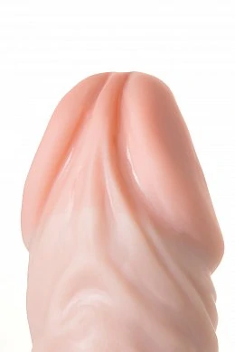 138d788a-f52d-45f2-8b96-d123300c7196