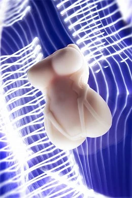 bbfa4a0b-da2b-4d02-baa3-7a9ad8993055