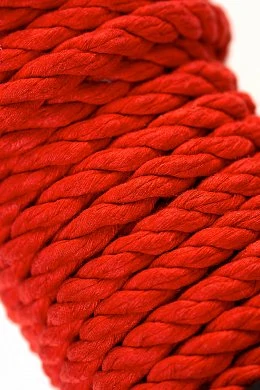 dcf161e6-6c32-467e-b977-5f6d492c3dc8