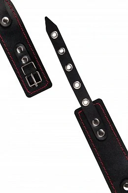 03e08080-8c75-4777-b710-6aadf588a033