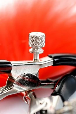 a5f7f3c7-c9b8-4027-818b-a7d800f8252a