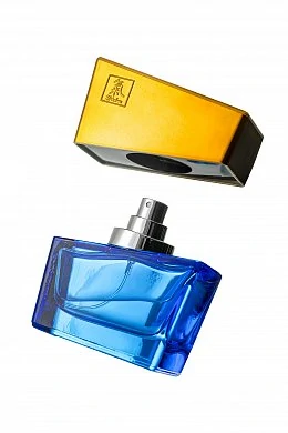 c30882fc-6572-46e5-81f5-e65e7567917b