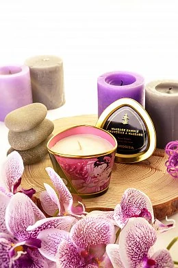 467c1826-af6a-494c-8aec-c3d0b6f0e7a1