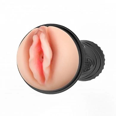 04675281_9c90_11e0_8656_001e58a7464c_778d7928_de17_11ef_8dda_00155d3d9c03