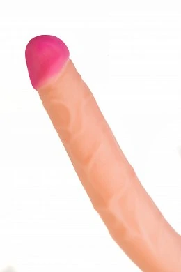 87304244-7393-4751-86a2-f735654c98c5