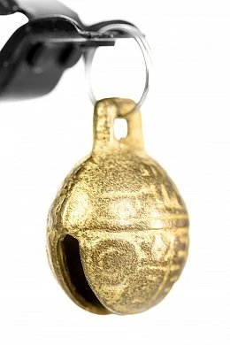 0359b857-8324-4186-b65e-2de0cccf6a32