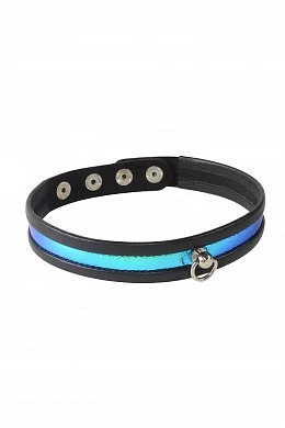 a56d6402-7951-4c96-a25f-f6697a1a9f2d