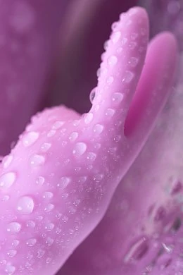 8036b3ef-90b0-4d25-a2cc-f01a4e97c170