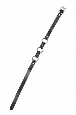 1da5346d-11bc-4e16-81af-2604be2d4259