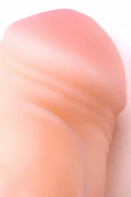 27a26e4e-c636-4be8-b22e-dd42e4048835