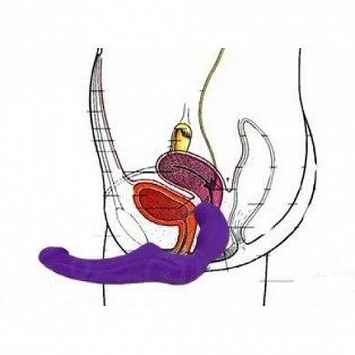 24408.5_53305_2-500x500