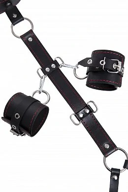 2ec2b4d7-8d88-46b8-bff7-7d35b1126657