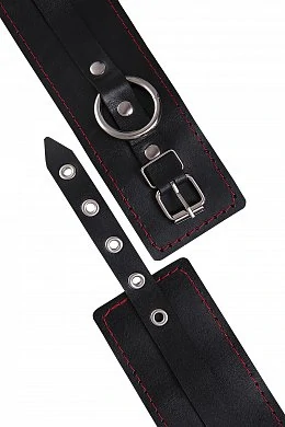 b1b39ee9-7a8d-42ed-836c-8554c4536f48