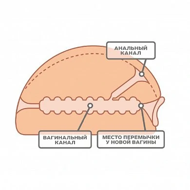 b50a499c_9bba_11e0_bc58_001e58a7464c_5f78269b_c222_11ec_8dbc_00155d3d9c00