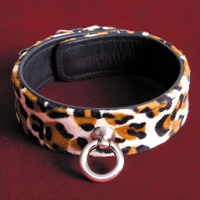 b01f9d82-b36e-40b1-abc4-0b120e871013