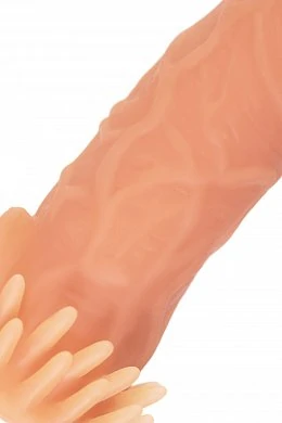 e172ae02-a069-4726-b594-2fda19dda5ba