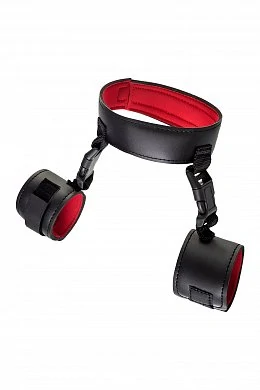 f0c046bd-9d49-450c-bdbe-f07b82dfbdc3