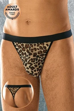 e09289e67a9cc11cc3ca0482d0da03bc