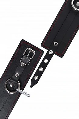 d5fa98f6-f847-43d1-a685-78261f58e867