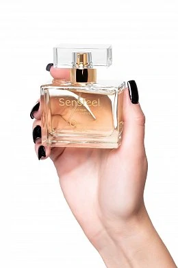 a223897d-63e5-4551-96b5-a59575a3a35b